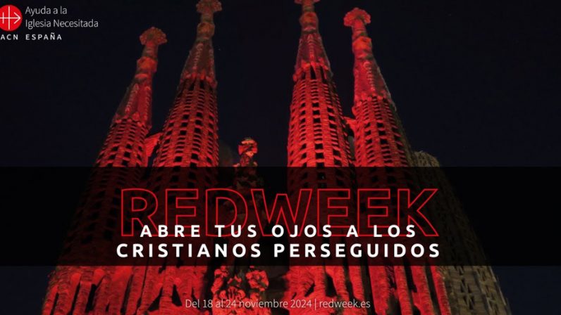 RedWEEK-2024-web-796x448